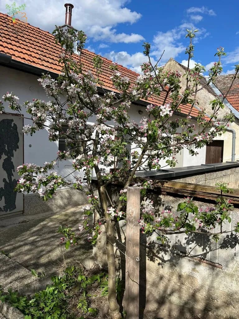 Haus kaufen in Hollabrunn – 122 m², € 235.000 – Bild 31 von 35