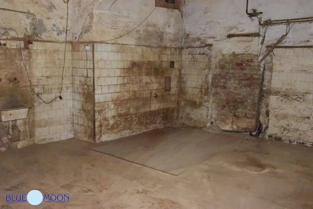 4-Zimmer-Gewerbeimmobilie mieten in Wien – 250 m², € 2.600 – Bild 12 von 16