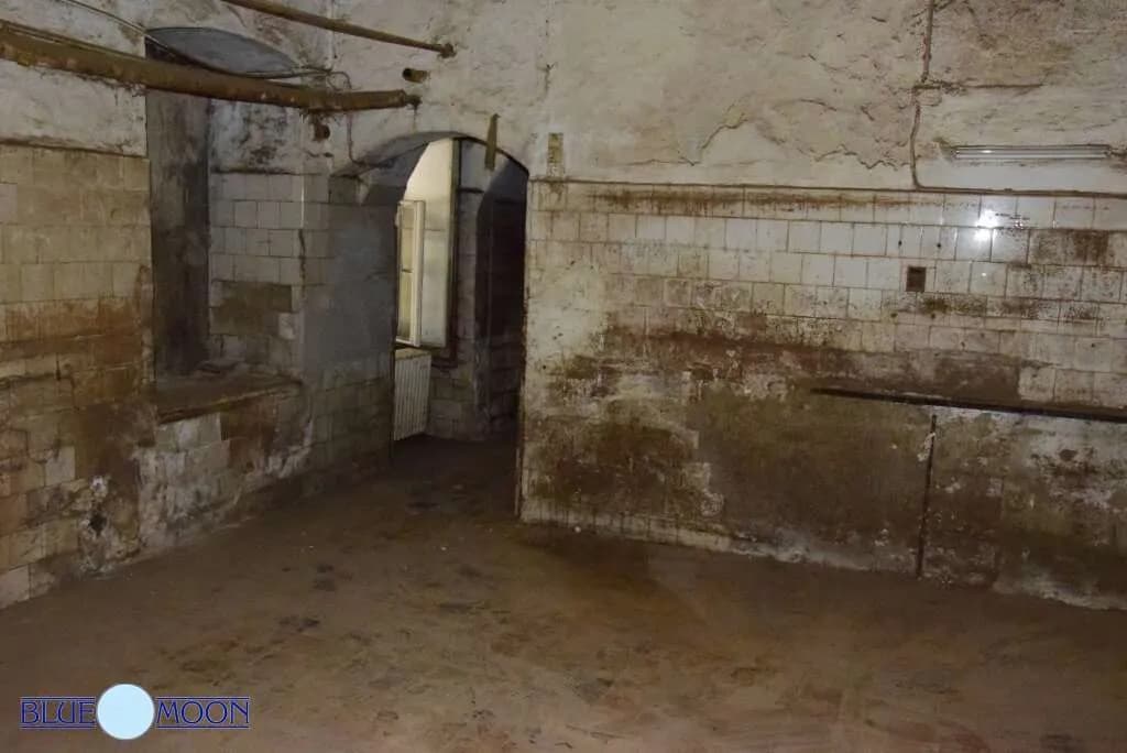 4-Zimmer-Gewerbeimmobilie mieten in Wien – 250 m², € 2.600 – Bild 14 von 16