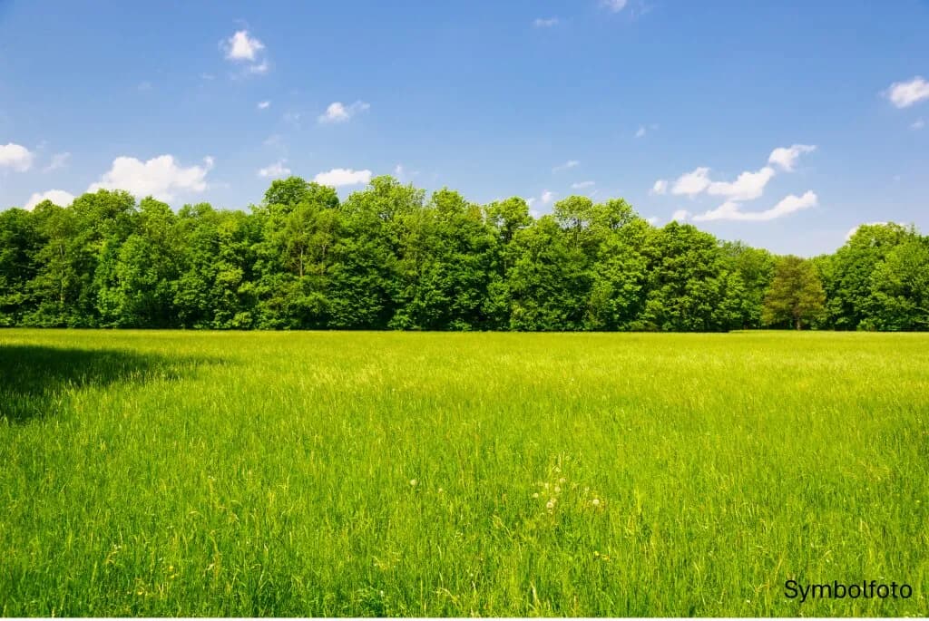 Immobilie kaufen in Murtal – 5 000 m² – Bild 2 von 2