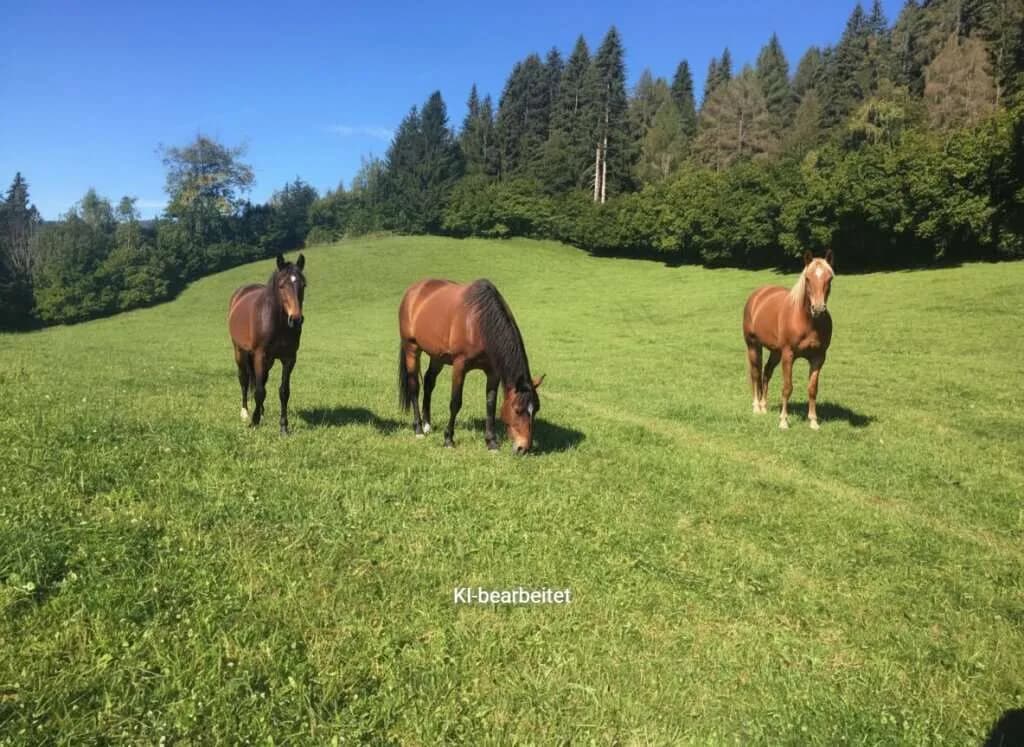 Grundstück kaufen in Murtal – 31 775 m²
