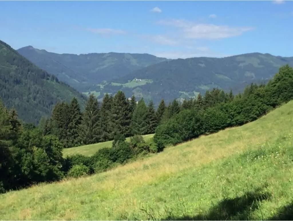 Grundstück kaufen in Murtal – 31 775 m² – Bild 4 von 8
