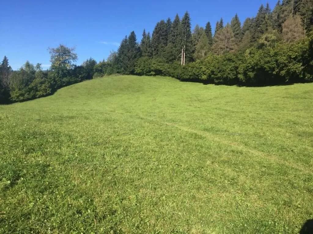 Grundstück kaufen in Murtal – 31 775 m² – Bild 5 von 8