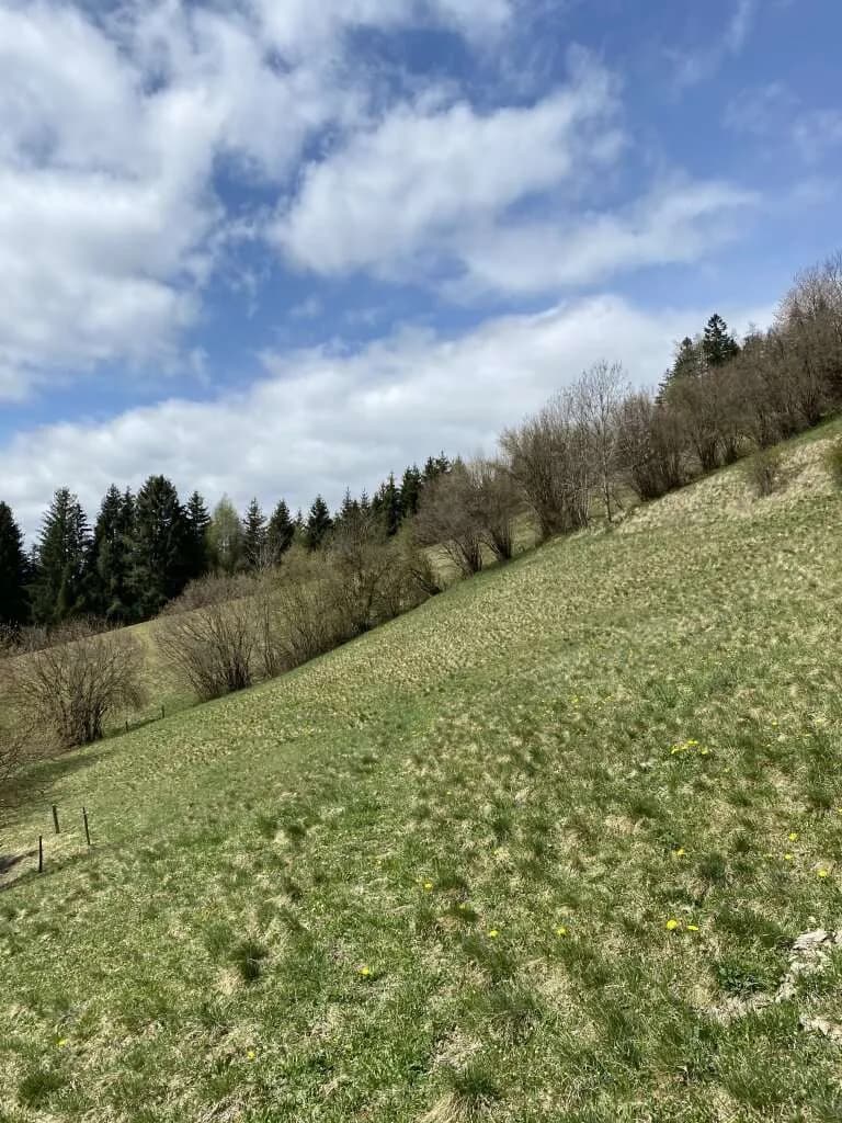 Grundstück kaufen in Murtal – 31 775 m² – Bild 7 von 8