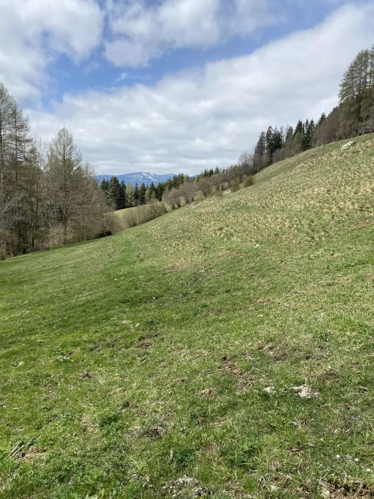 Grundstück kaufen in Murtal – 31 775 m² – Bild 8 von 8