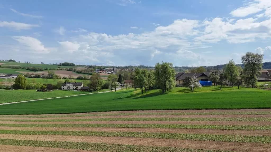 Grundstück kaufen in Urfahr-Umgebung – 987 m², € 190.000