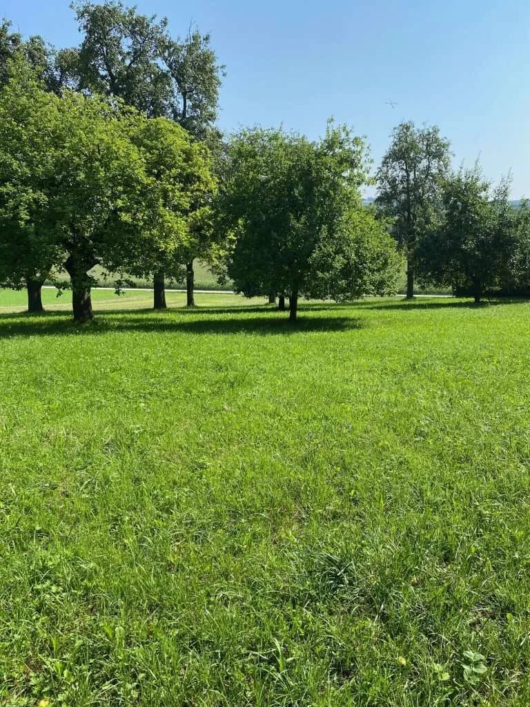 Grundstück kaufen in Urfahr-Umgebung – 987 m², € 190.000 – Bild 3 von 17