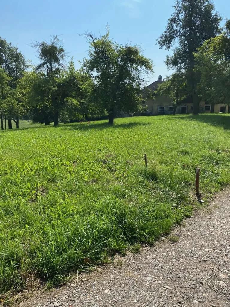 Grundstück kaufen in Urfahr-Umgebung – 987 m², € 190.000 – Bild 4 von 17