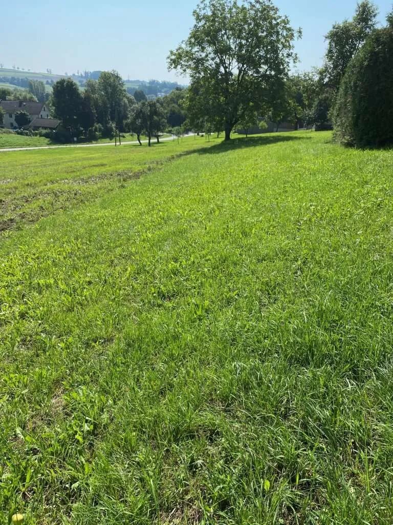 Grundstück kaufen in Urfahr-Umgebung – 987 m², € 190.000 – Bild 5 von 17