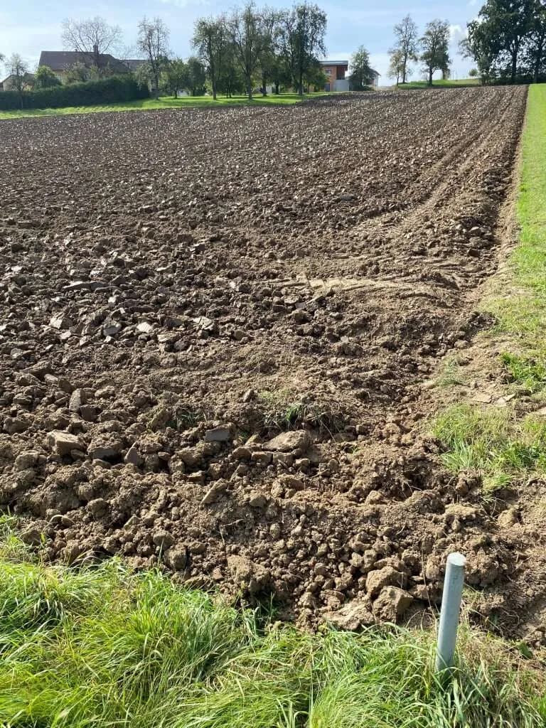 Grundstück kaufen in Urfahr-Umgebung – 987 m², € 190.000 – Bild 8 von 17