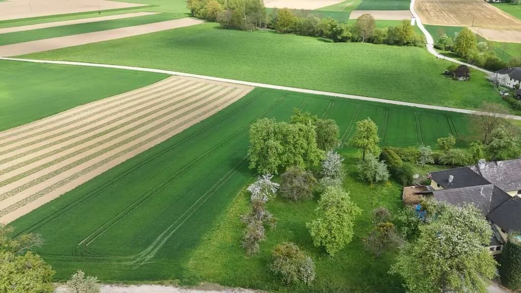 Grundstück kaufen in Urfahr-Umgebung – 987 m², € 190.000 – Bild 10 von 17