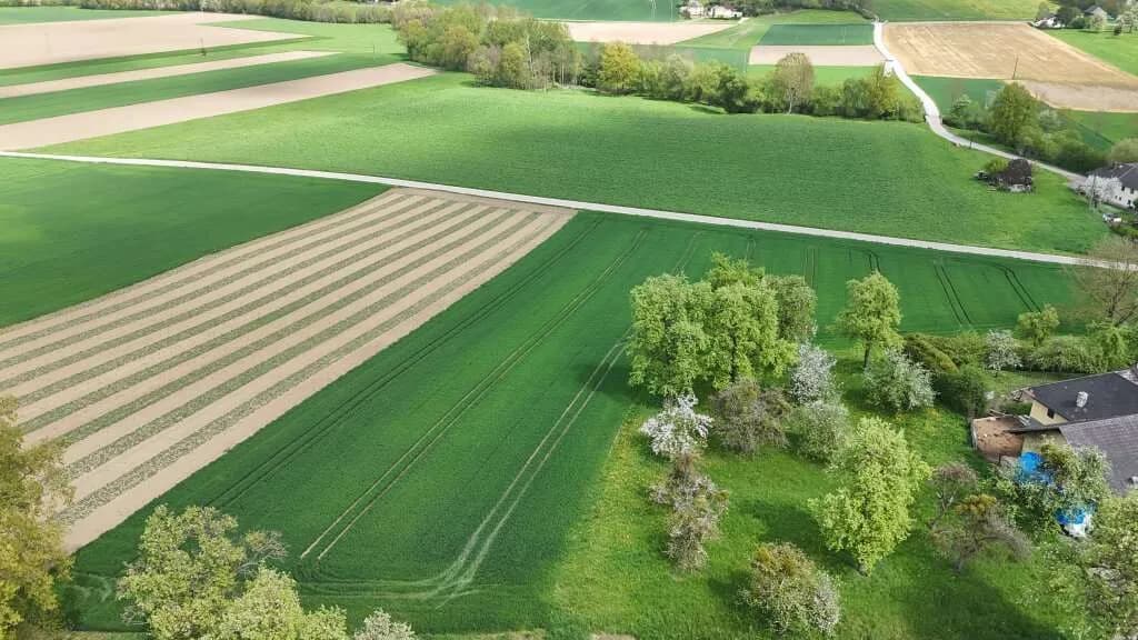 Grundstück kaufen in Urfahr-Umgebung – 987 m², € 190.000 – Bild 11 von 17
