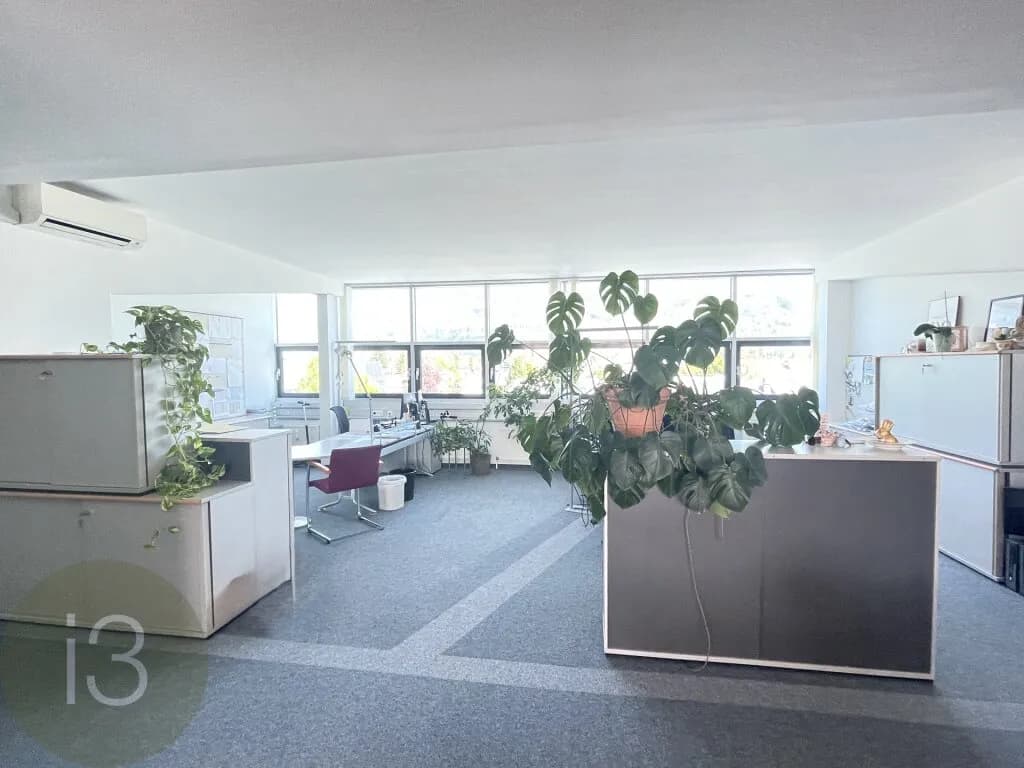 Gewerbeimmobilie mieten in Salzburg Stadt – 231 m²