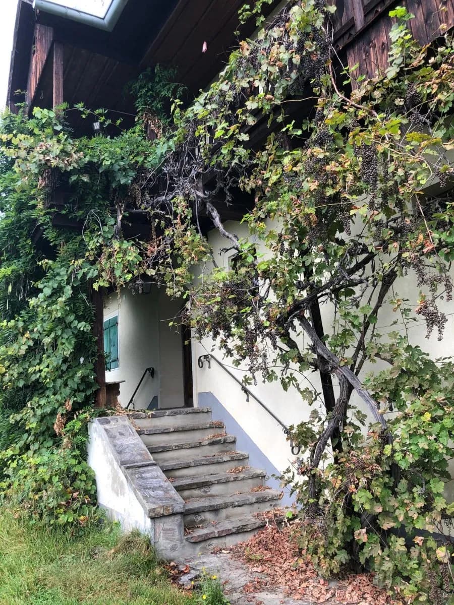 5-Zimmer-Wohnung mieten in Graz – 140 m², € 1.335 – Bild 14 von 14