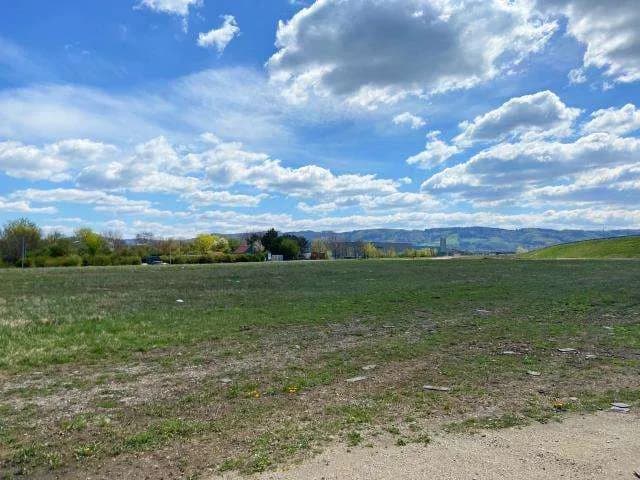 Immobilie mieten in Sankt Pölten – 1 500 m² – Bild 3 von 4