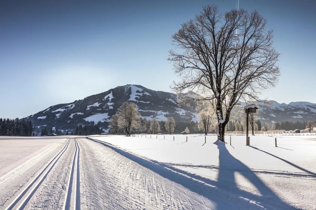 Grundstück kaufen in Kitzbühel – 600 m², € 950.000 – Bild 3 von 4