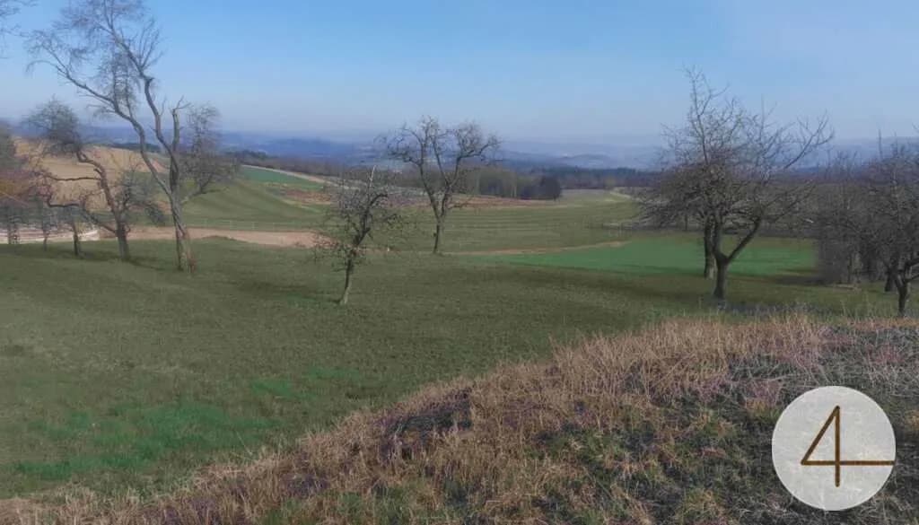 Gewerbeimmobilie kaufen in Melk – 16 142 m², € 535.000 – Bild 19 von 21