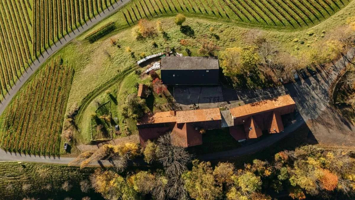 Gewerbeimmobilie kaufen in Leibnitz – 200 m², € 1.400.000 – Bild 25 von 45