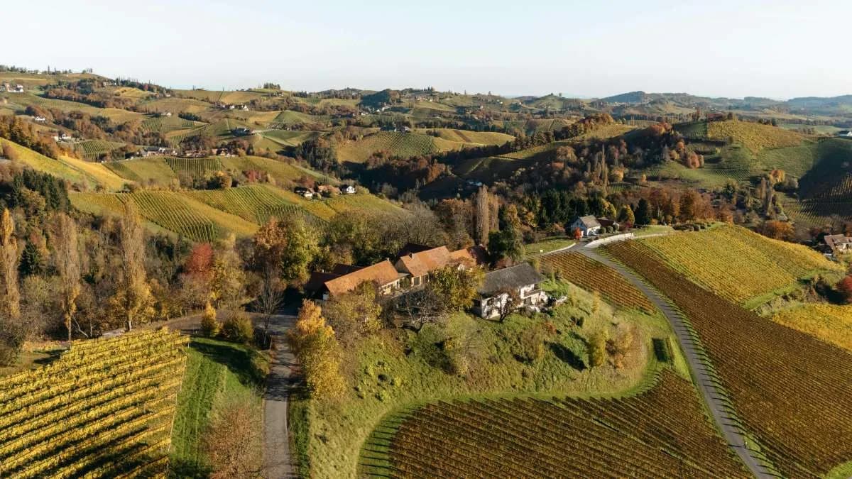 Gewerbeimmobilie kaufen in Leibnitz – 200 m², € 1.400.000 – Bild 28 von 45