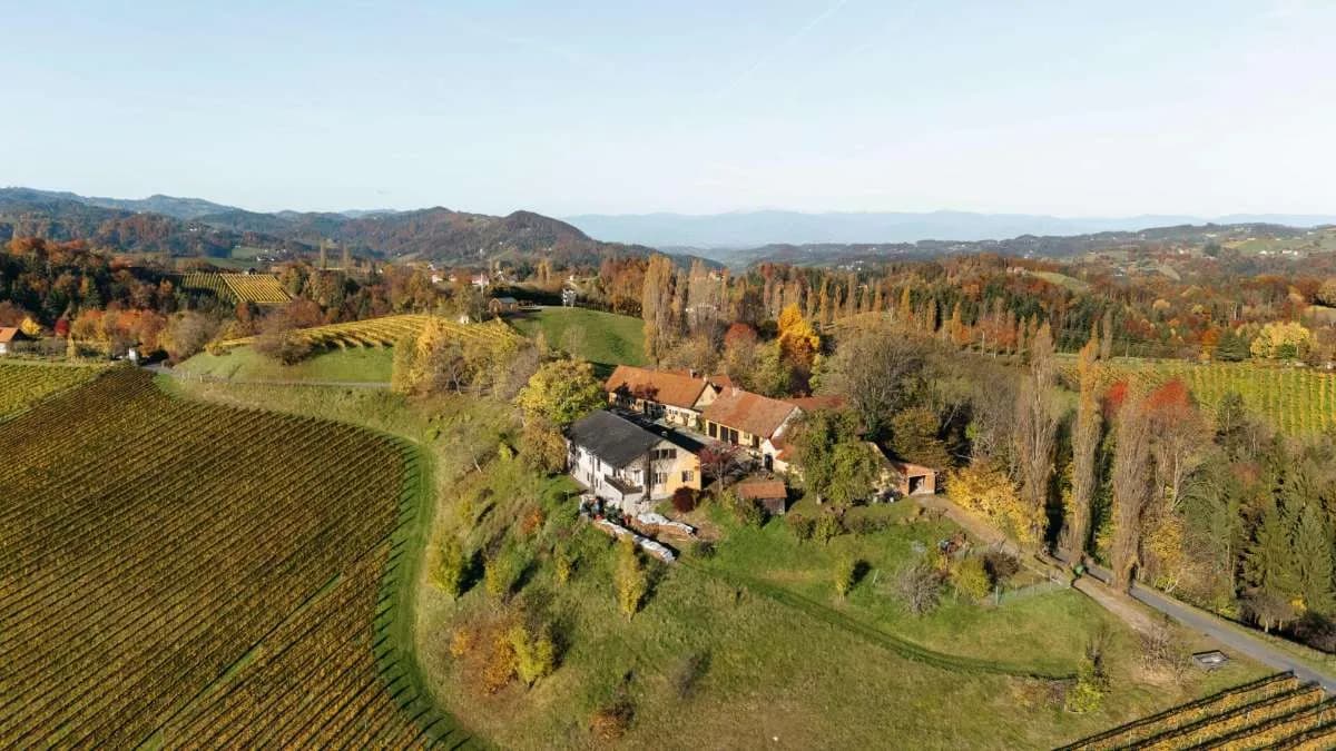 Gewerbeimmobilie kaufen in Leibnitz – 200 m², € 1.400.000 – Bild 38 von 45