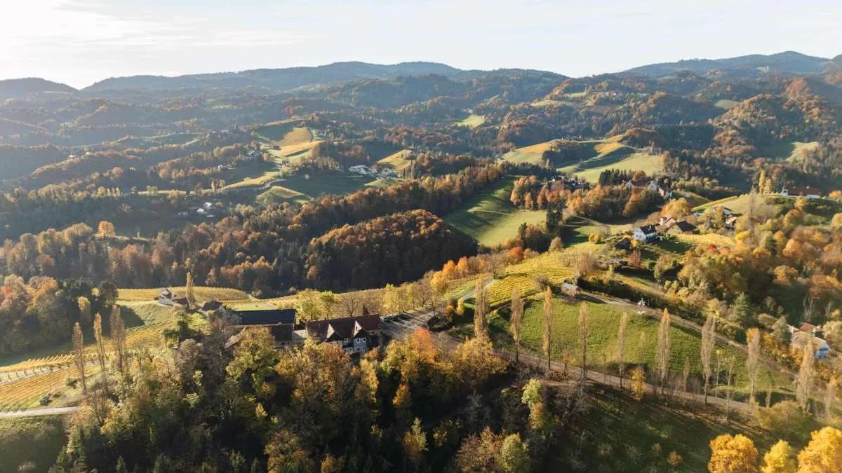 Gewerbeimmobilie kaufen in Leibnitz – 200 m², € 1.400.000 – Bild 42 von 45
