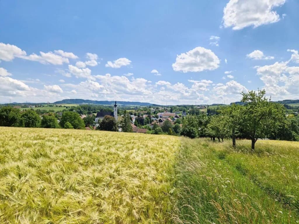 2-Zimmer-Wohnung kaufen in Grieskirchen – 45,55 m², € 191.000