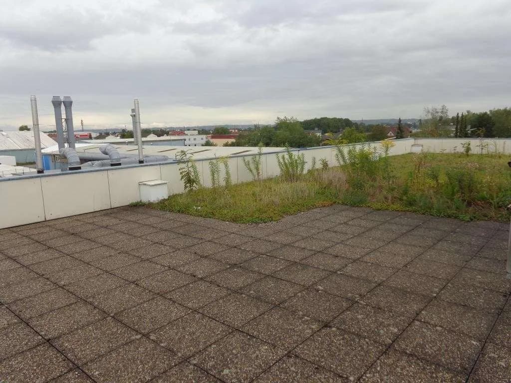 15-Zimmer-Gewerbeimmobilie mieten in Linz Land – 780 m² – Bild 23 von 24