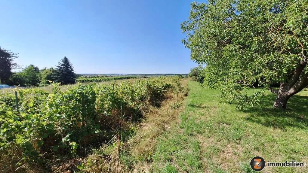 4-Zimmer-Haus kaufen in Baden – 82 m², € 750.000 – Bild 16 von 24