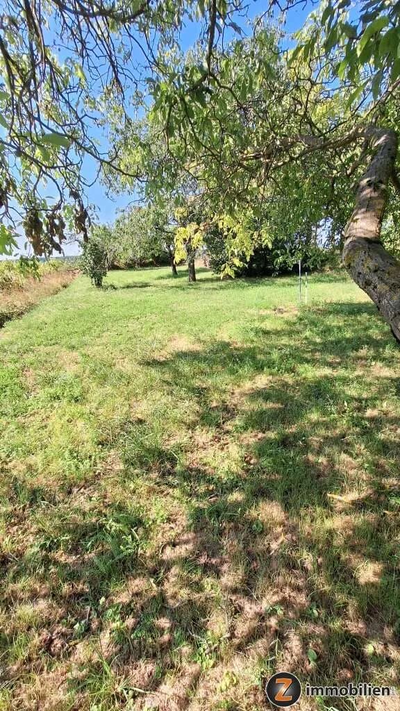4-Zimmer-Haus kaufen in Baden – 82 m², € 750.000 – Bild 17 von 24