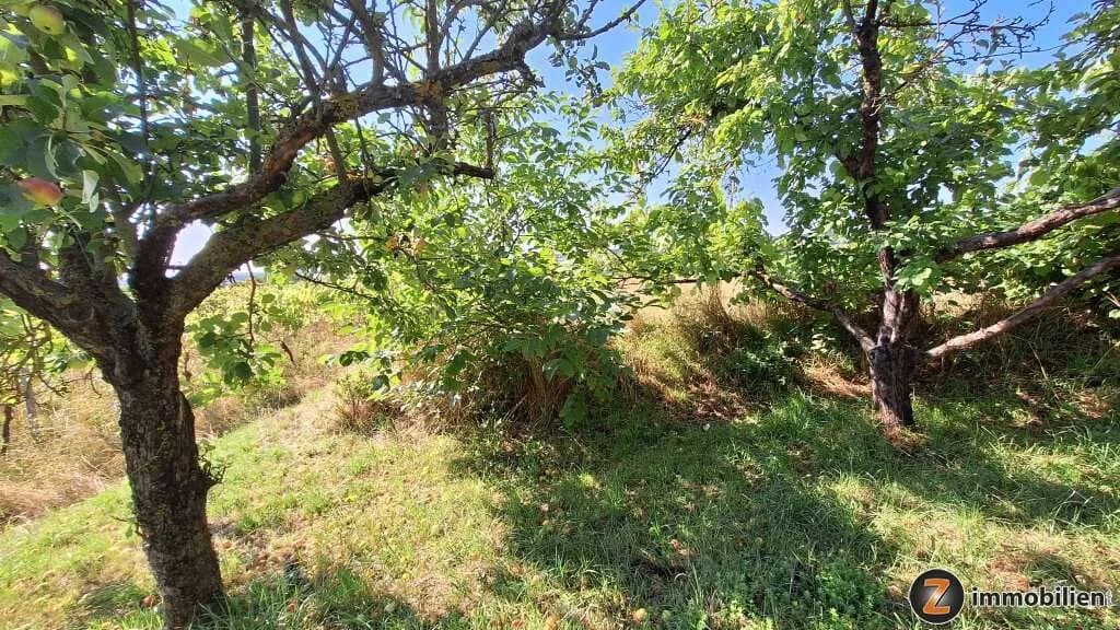 4-Zimmer-Haus kaufen in Baden – 82 m², € 750.000 – Bild 18 von 24