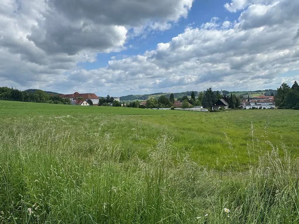 Grundstück kaufen in Südoststeiermark – 9 015 m²