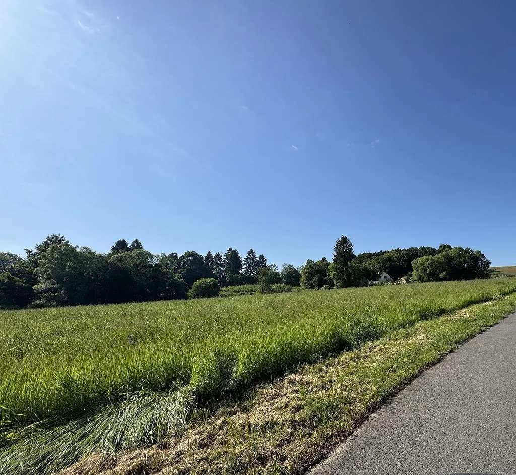 Grundstück kaufen in Südoststeiermark – 9 015 m² – Bild 2 von 25
