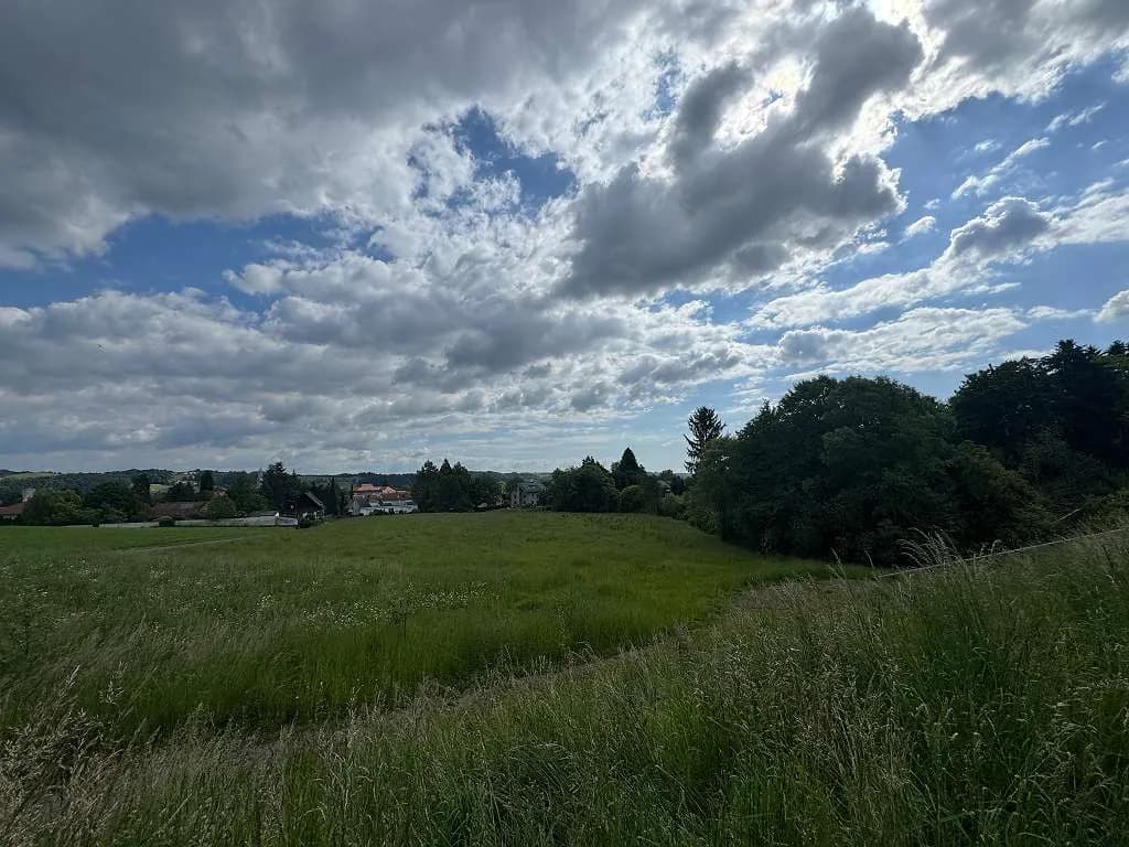Grundstück kaufen in Südoststeiermark – 9 015 m² – Bild 3 von 25