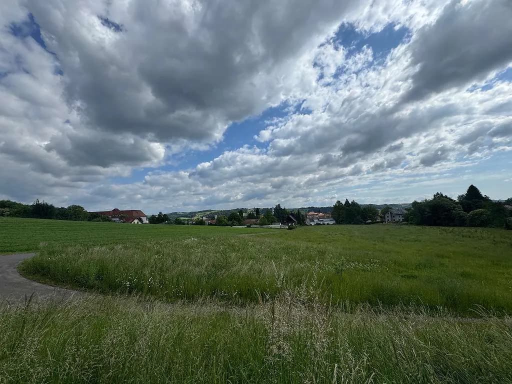 Grundstück kaufen in Südoststeiermark – 9 015 m² – Bild 4 von 25