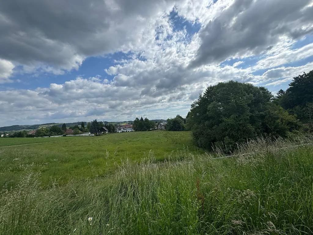 Grundstück kaufen in Südoststeiermark – 9 015 m² – Bild 5 von 25