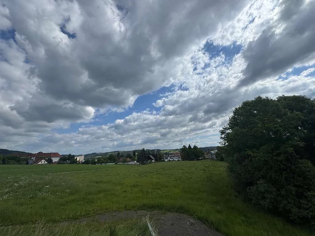 Grundstück kaufen in Südoststeiermark – 9 015 m² – Bild 6 von 25