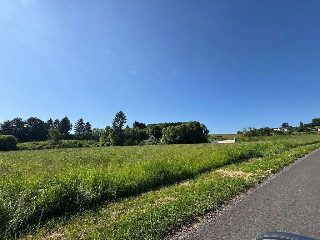 Grundstück kaufen in Südoststeiermark – 9 015 m² – Bild 8 von 25