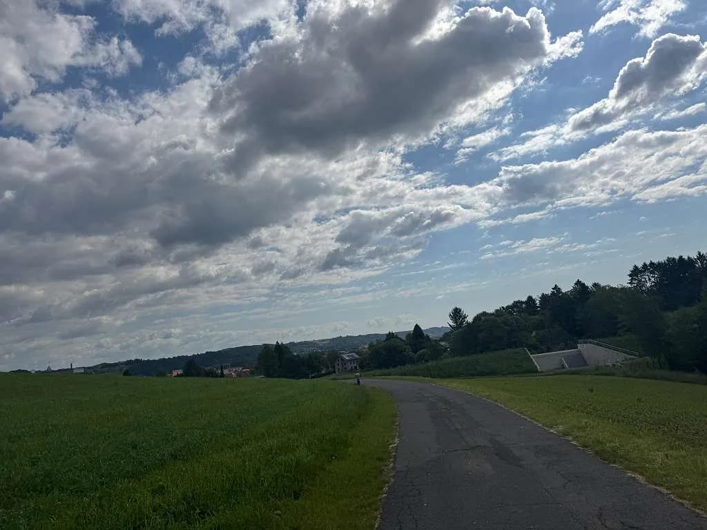 Grundstück kaufen in Südoststeiermark – 9 015 m² – Bild 13 von 25