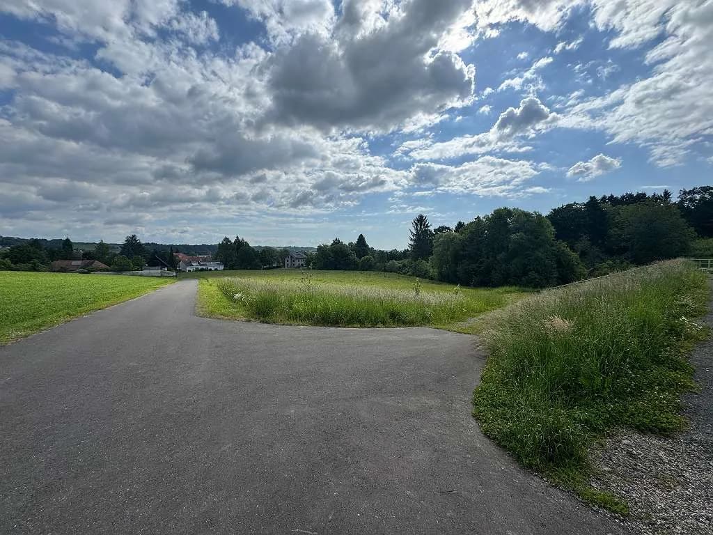 Grundstück kaufen in Südoststeiermark – 9 015 m² – Bild 14 von 25