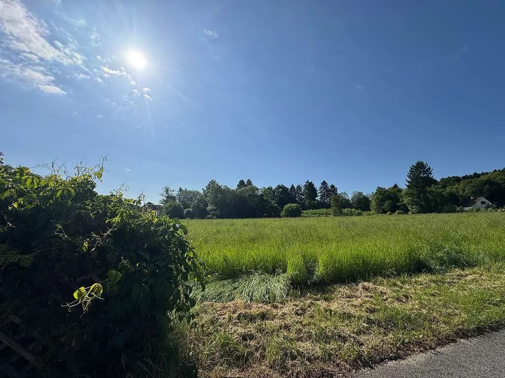 Grundstück kaufen in Südoststeiermark – 9 015 m² – Bild 15 von 25