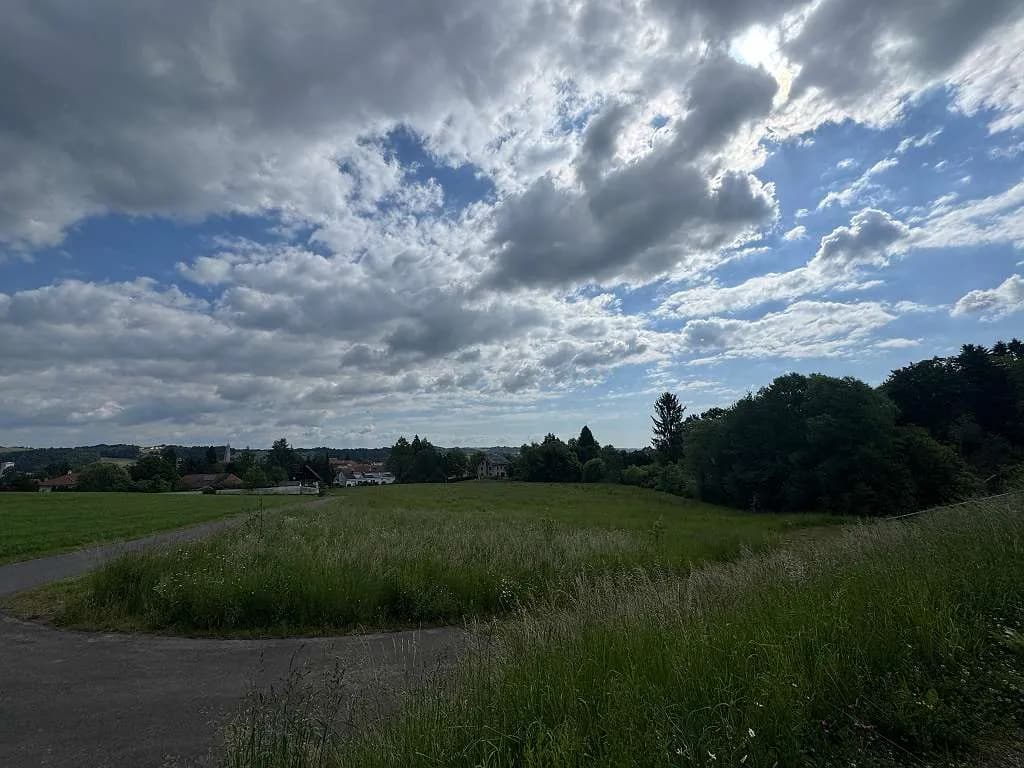Grundstück kaufen in Südoststeiermark – 9 015 m² – Bild 17 von 25