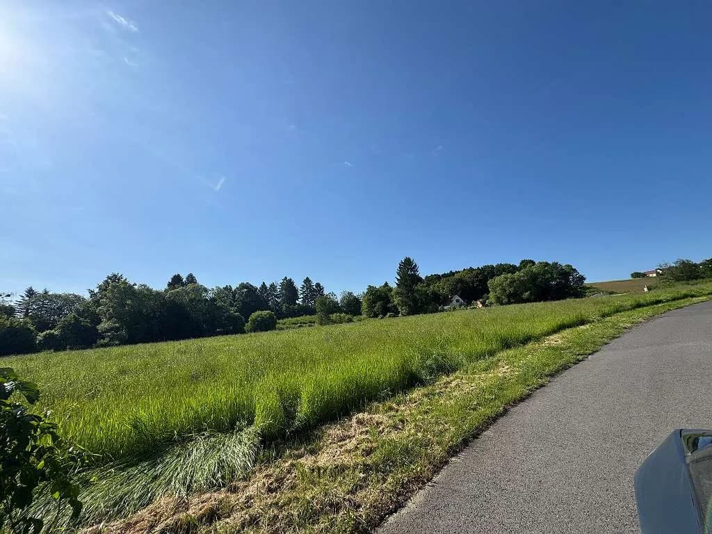 Grundstück kaufen in Südoststeiermark – 9 015 m² – Bild 21 von 25