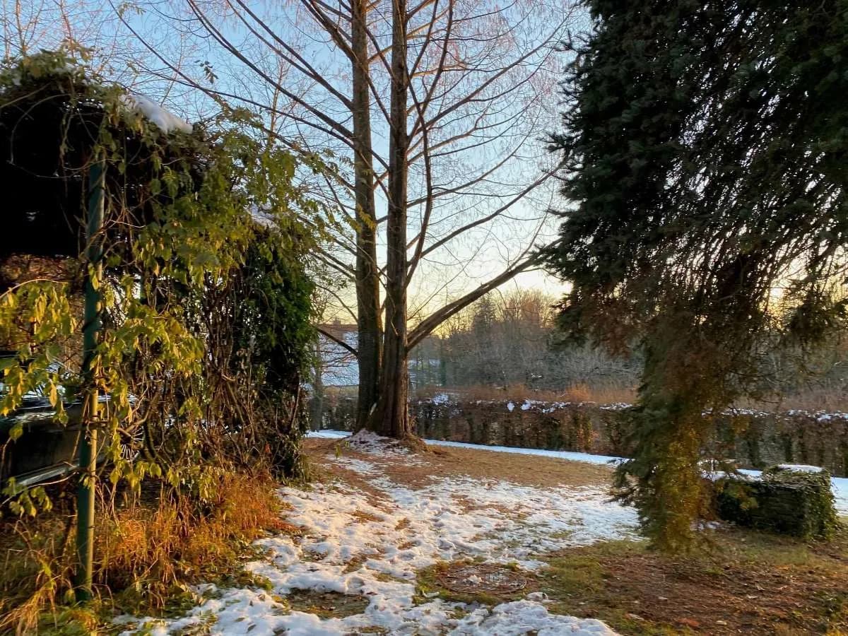 Grundstück kaufen in Graz-Umgebung – 6 988 m², € 1.290.000 – Bild 4 von 13
