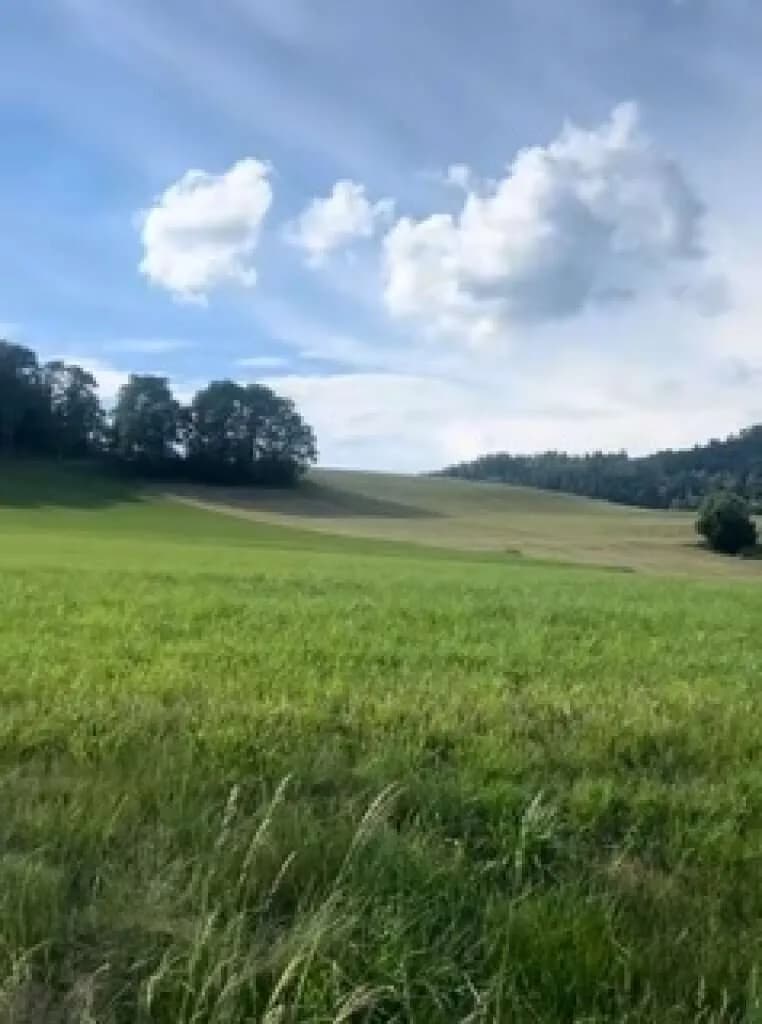 Grundstück kaufen in Klagenfurt Land – 2 000 m², € 320.000