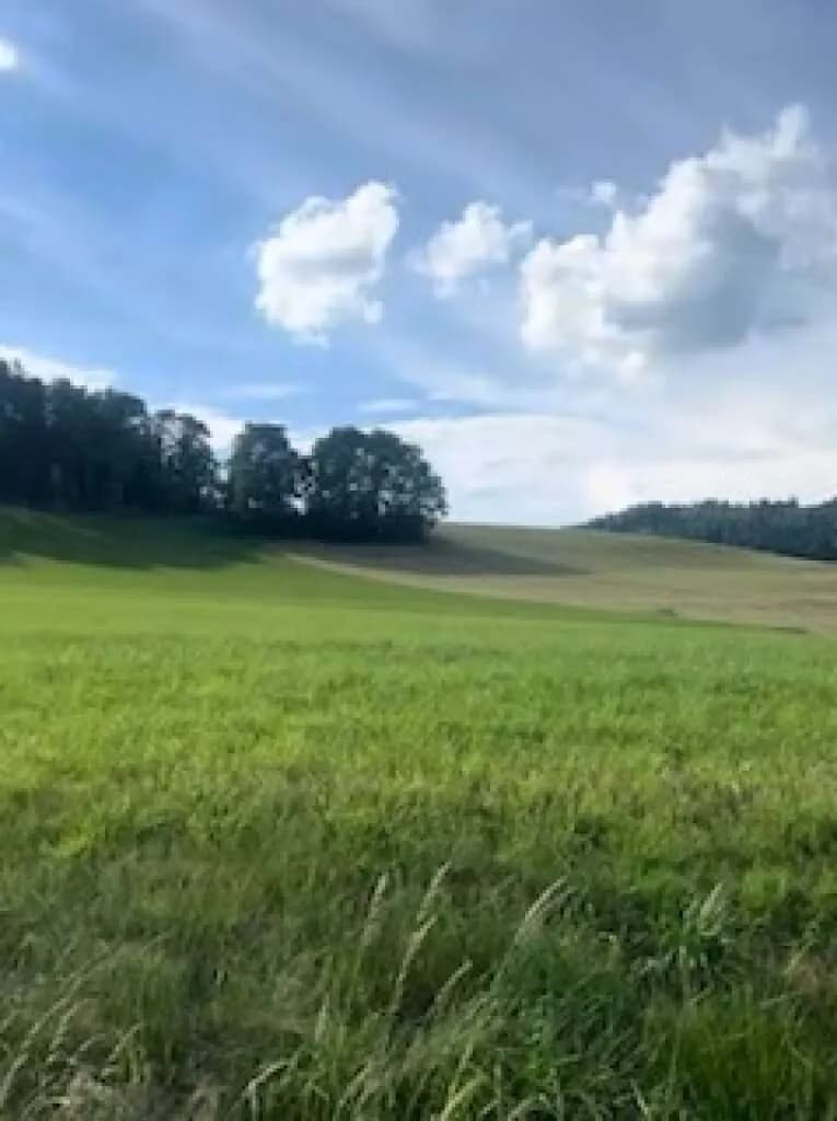 Grundstück kaufen in Klagenfurt Land – 2 000 m², € 320.000 – Bild 2 von 29