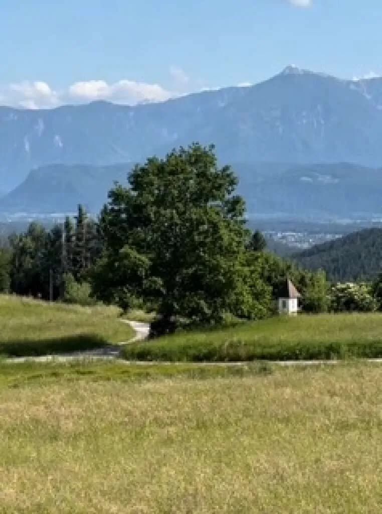 Grundstück kaufen in Klagenfurt Land – 2 000 m², € 320.000 – Bild 27 von 29