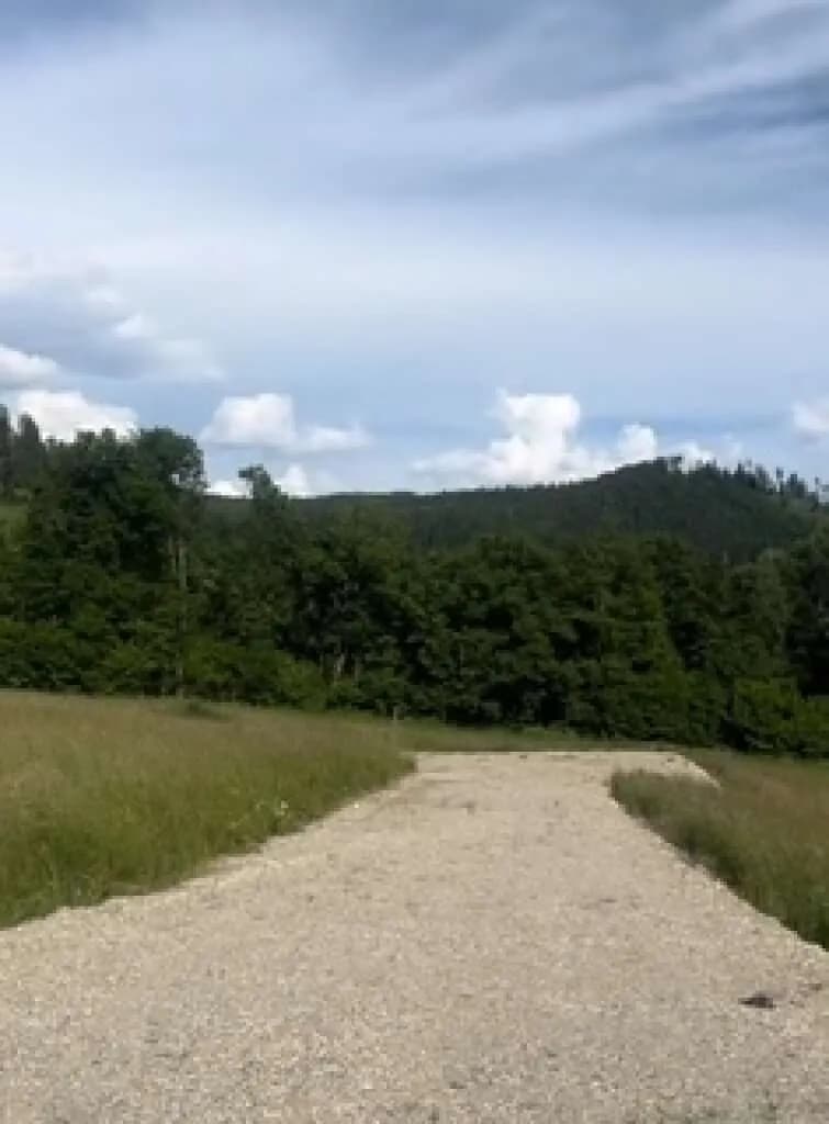 Grundstück kaufen in Klagenfurt Land – 2 000 m², € 320.000 – Bild 28 von 29