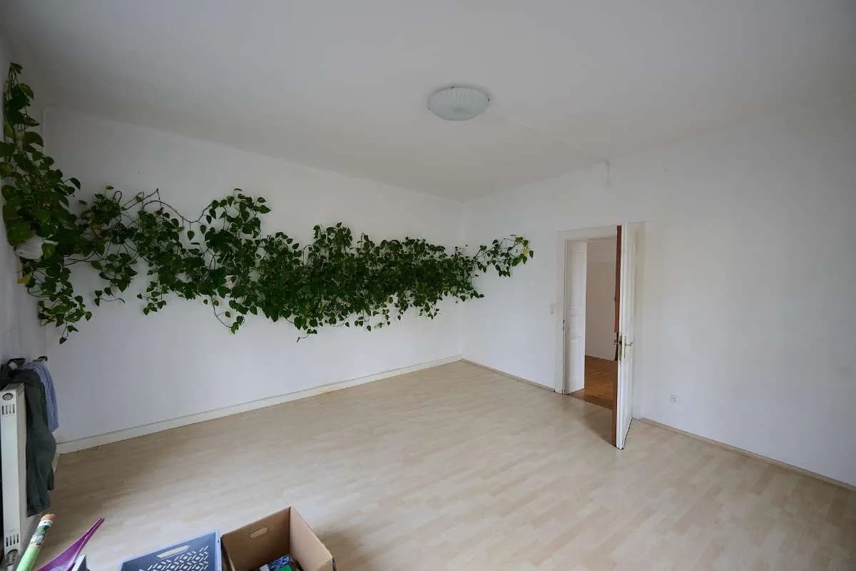 5-Zimmer-Gewerbeimmobilie mieten in Linz – 125 m², € 1.550 – Bild 5 von 12
