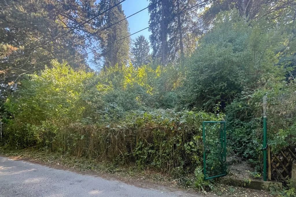 Grundstück kaufen in Wien – 2 141 m², € 215.000 – Bild 4 von 5