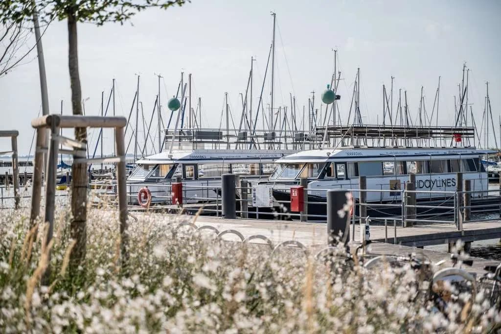 Immobilie mieten in Eisenstadt - Umgebung – 107 m², € 3.662 – Bild 6 von 9